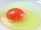 Japan’s Best Kodawari Eggs